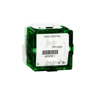 1W Switch Mech 10AX250V