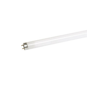 L 36W/640 25X1 FED                 OSRAM
