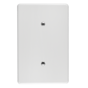 Classic Plastic Blank Coverplate
