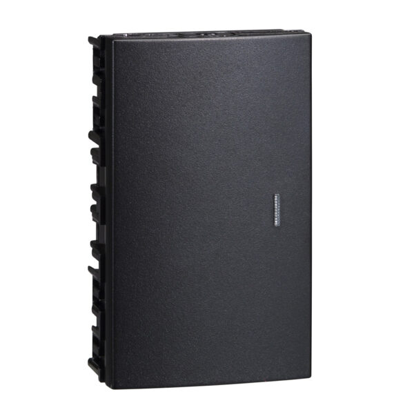 LRG SINGLE POLE 2 WY SW MOD-BK