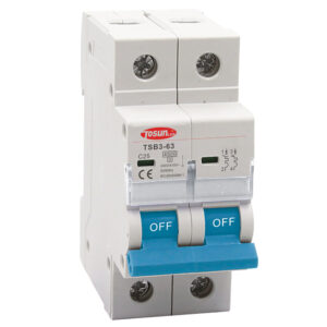3kA 2P 10A Circuit Breaker C-Curve