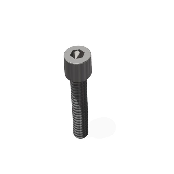 Cap Screw Hexagon SS M8 x 30