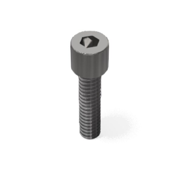 Cap Screw Hexagon SS M8x25