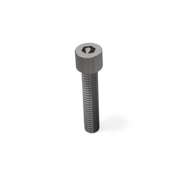 Cap Screw Hexagon SS M8x35