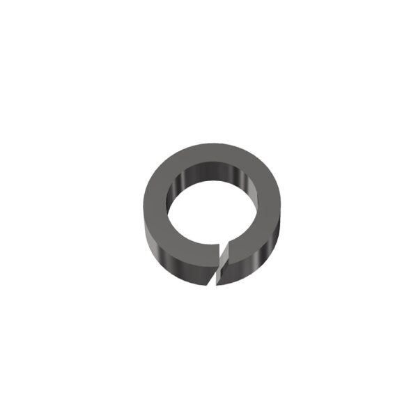 Spring Washer SS M8