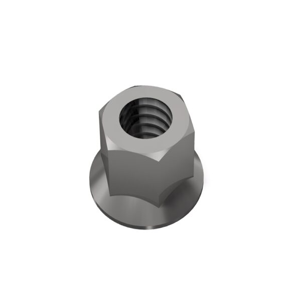 Hex Flange Nut SS M8