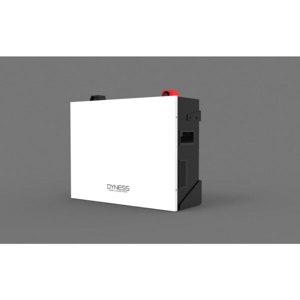 Dyness Battery Lithium 4.8Kwh 48V 100ah